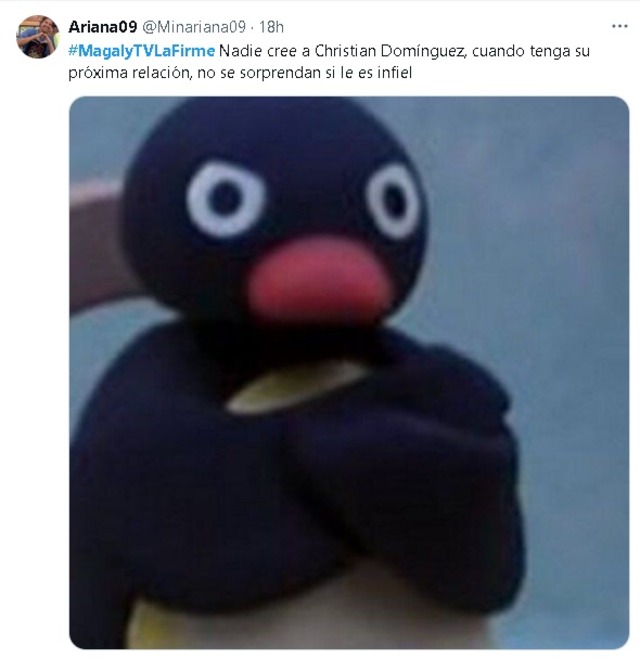 No pararás de reir con los memes de las declaraciones de Pamela López sobre lo que le contó Christian Domínguez en MagalyTv. (Twitter)