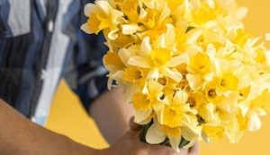 Septiembre se pinta de amarillo: las flores que conquistan corazones y comercios