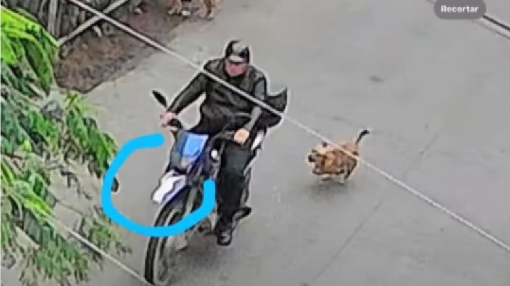 Cámaras de seguridad grabaron al sujeto.