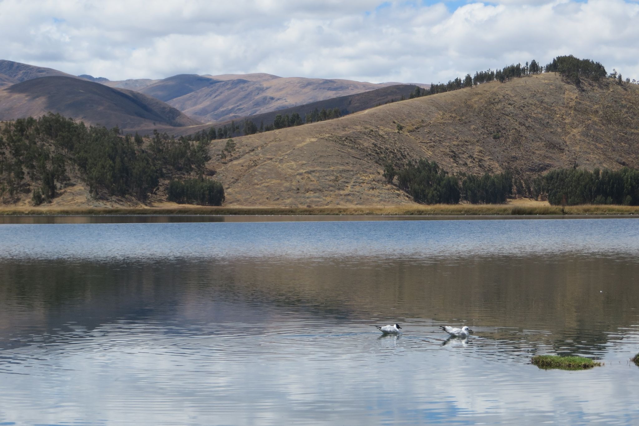 Declaran estado de emergencia en 136 distritos de cinco departamentos del país por déficit hídrico (Foto referencial).