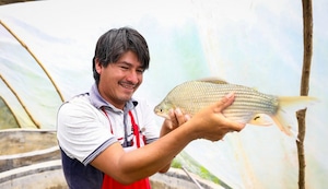 Foncodes fortalece pequeño negocio de peces tropicales y contribuye con la prosperidad en Junín