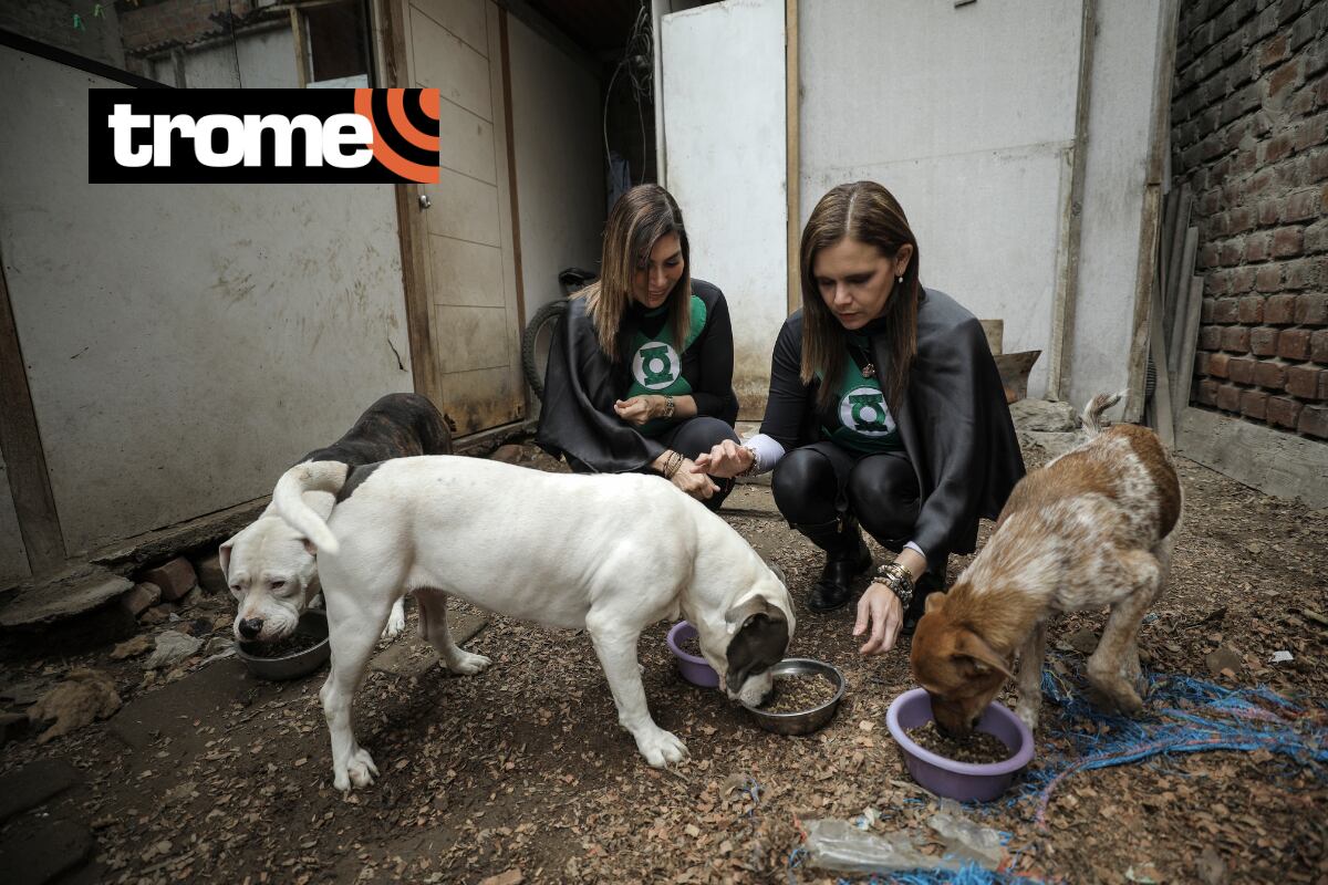 Se visten como las 'Chicas Super Patas' para crear conciencia sobre la tenencia responsable de las mascotitas.