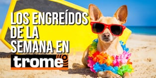 Conoce a las mascotas de nuestros lectores y entérate de cómo tu engreído también puede ser parte de esta galería. Foto: Istock.