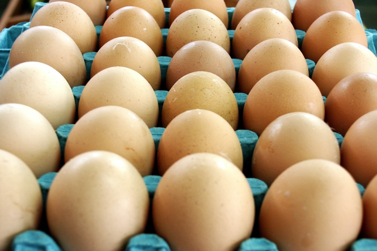 TRUCOS CASEROS | Un cartón lleno de huevos. (Foto: Pexels)