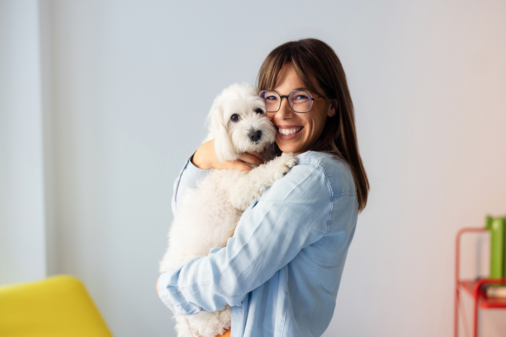 No obligues a tu engreído a recibir caricias o acercarse cuando no quiere. Respetar sus momentos también ayuda a que se sienta tranquilo y seguro contigo. Foto: Istock