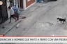 ¡Indignante! Sujeto acaba con la vida de un perro al golpearlo con una piedra en la cabeza en Nazca