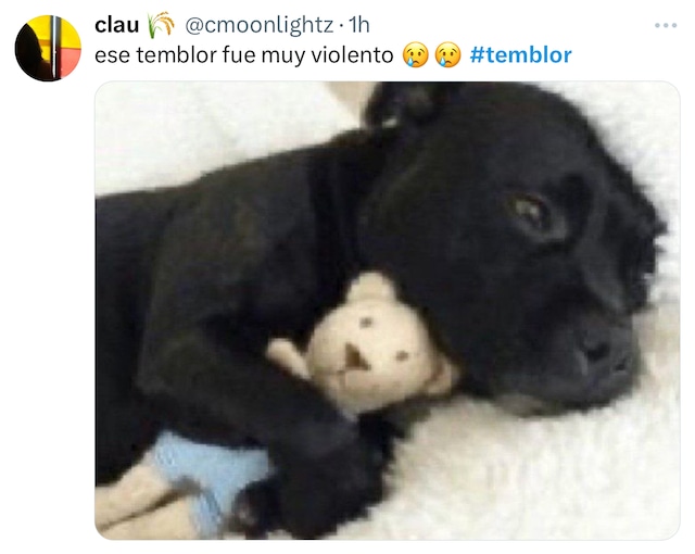 Trome| Memes del temblor en Lima del martes 23 de julio 2024 (Fotos: Twitter)