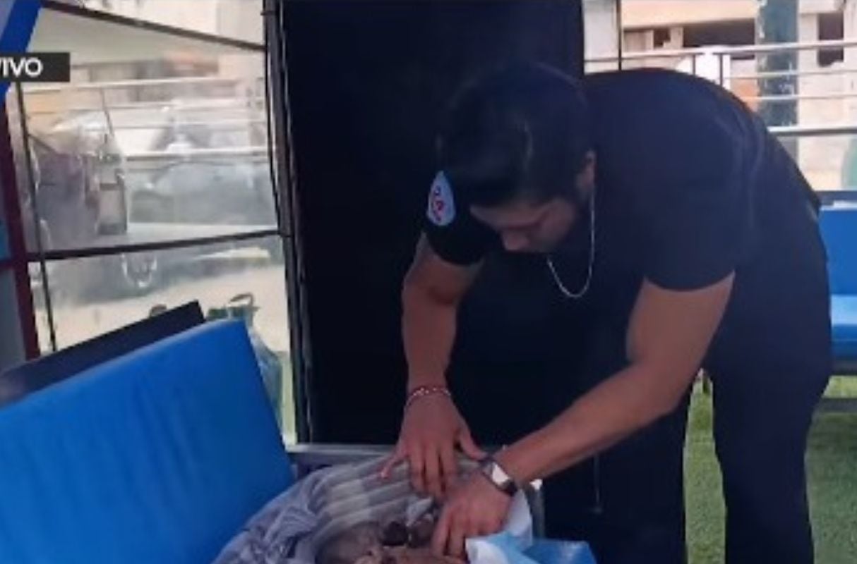 Veterinario sufre agresión de ciudadano extranjero que abandonó cachorros en Surco. (Foto: Captura de video /RPP)