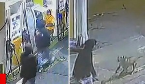 Comas: Perro guardián embiste a ladrones y evita asalto en grifo