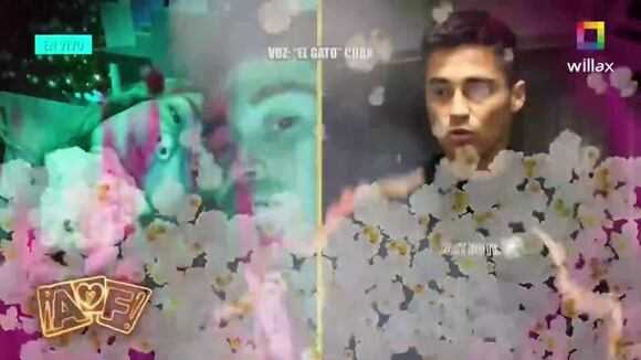 Todo Gato Melisa Peluche