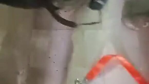 Ssstwitter.com 1750972084594