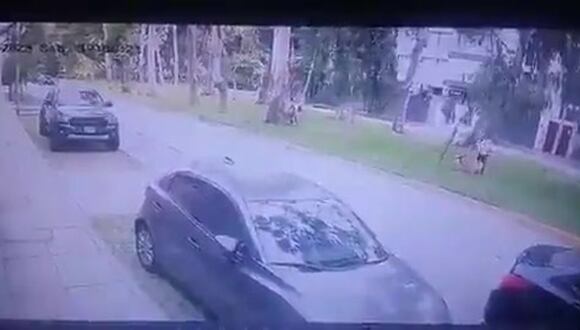 Una pareja y su mascota se salvaron de ser aplastados por un árbol