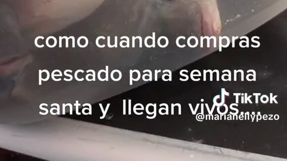 Trome | Joven compra pescados, pero descubre que seguían vivos