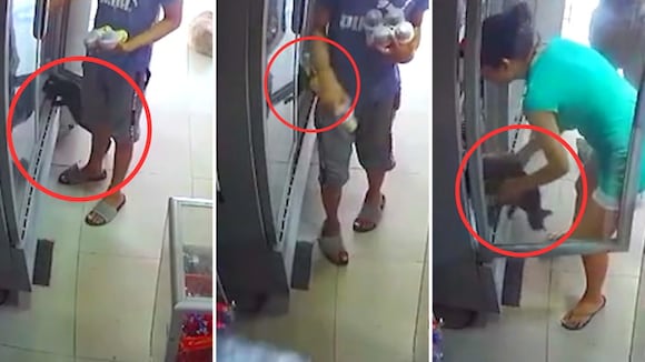 Video viral de gato en tienda