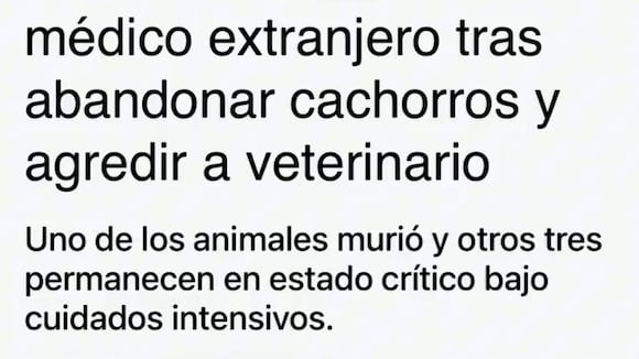 TROME | Venezolano que golpeó a veterinario se defiende. (Venezolanos en el Perú)