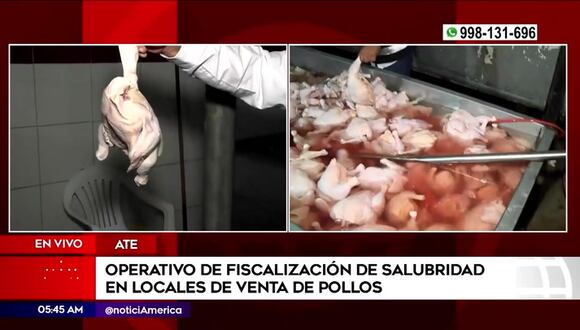 Ate: Encuentran en locales 10 mil pollos en estado de descomposición inflados con agua