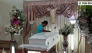 ¡Trágica muerte! Mujer de 68 años fue atacada por enjambre de abejas