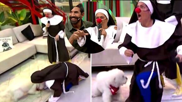 Perrito de Fernando Díaz muerde a Katia Palma