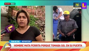 Rímac: Sujeto asesinó a sangre fría a perrita que se resguardaba del sol