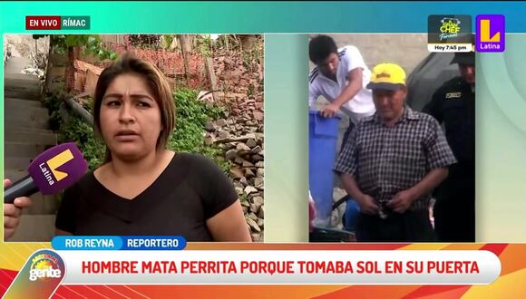 Rímac: Sujeto asesinó a sangre fría a perrita que se resguardaba del sol