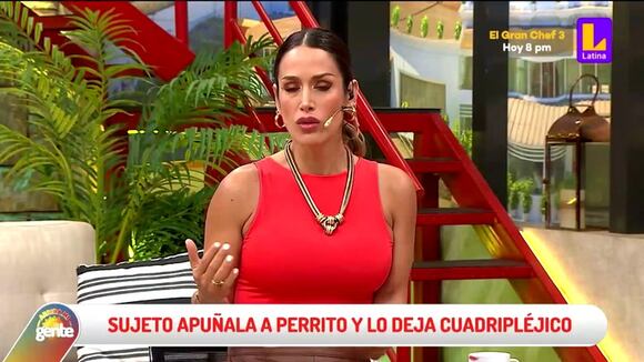 Mascota es apuñalada por expareja de su dueña