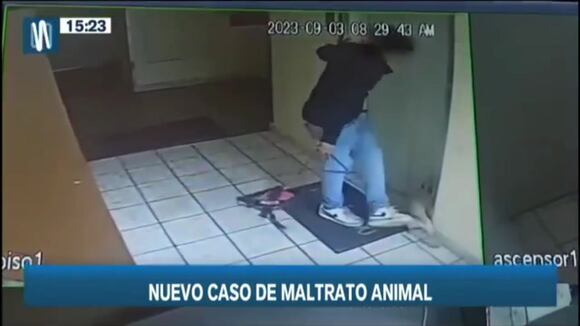TROME - Sujeto que pateó y azotó a su perro es detenido por la Policía: pasará más de un año en Lurigancho