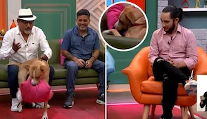 ‘Vaguito’ provoca ‘destrozos’ durante entrevista en programa de TV