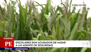 Chincha: Escolares de 15 y 16 años asesinan a balazos a agente de seguridad