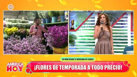 Le preguntan al reportero de américa hoy si solucionó problema con su esposa