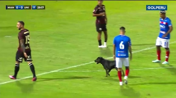 TROME | Universitario vs Mannucci perro se metió a la cancha (GOL Perú)