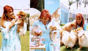 Magaly Medina celebra primer año de sus ‘hijos perrunos’ con lujosa fiesta