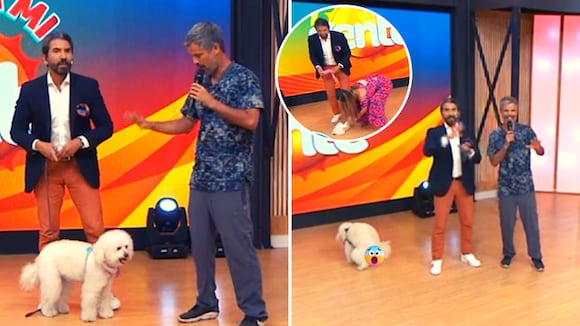 Arriba mi gente: Fernando Díaz lleva su mascota