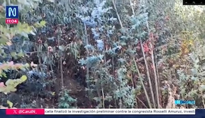 Atentado en La Libertad: Mineros ilegales atacan empresa minera con armas de guerra y dinamita