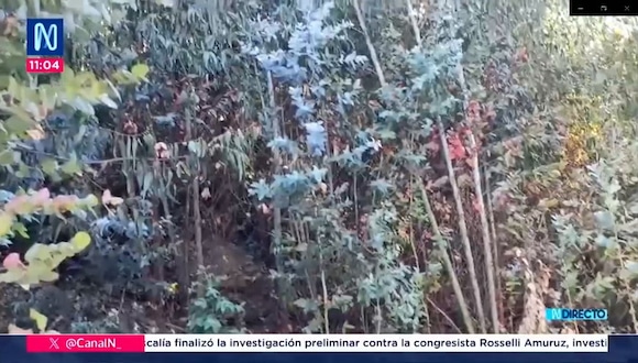 Un grupo de sujetos armados con pistolas y armas de largo alcance intentaron atacar las instalaciones de la minera Summa Gold. Video: Canal N