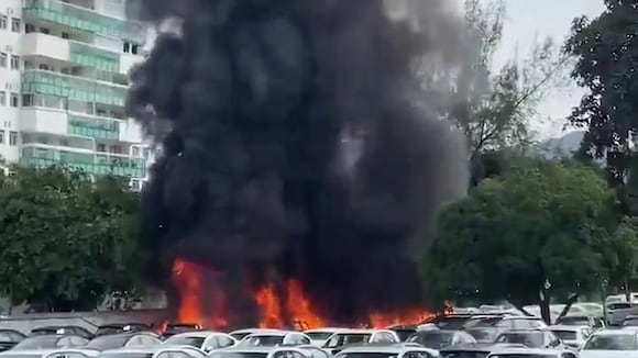 TROME | Oliver Tree y youtuiber argentino Gaspi mueren en accidente aéreo en Brasil- VIDEO: Twitter