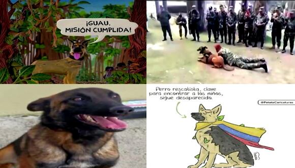 Colombia: Buscan a "Wilson", perro rescatista que fue vital para el hallazgo de niños perdidos en la selva