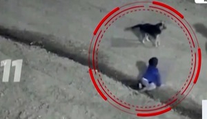 ¡Padres irresponsables! Encuentran a bebé de un año gateando en la calle