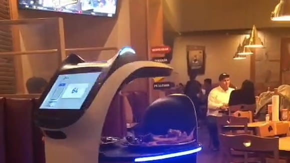 TROME - ‘Gatito Robot Mesero’ atiende a comensales en chifa de Los Olivos y es una sensación en TikTok