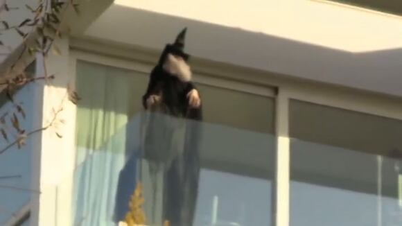 Ssstwitter.com 1673731471239