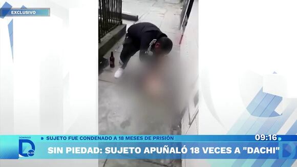 Habla la dueña de "Dachi"