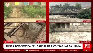 Comas: intrépido perrito sorprende a periodista en vivo al beber agua del río Chillón