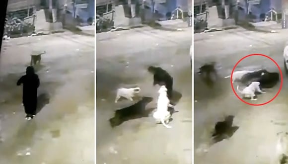 Chorrillos: hombre gravemente herido por ataque de cuatro perros