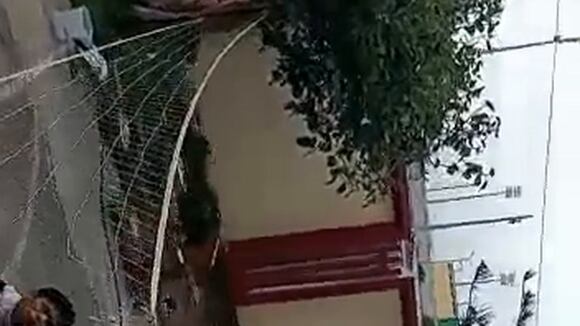 Whatsapp Video 2023-01-21 At 2.08.47 Pm (2)
