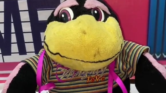 TROME | Joven es sensación en TikTok por su fiesta temática de ‘Magaly TV: La Firme’