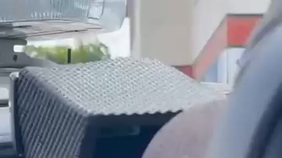 Sujeto detenido por acuchillar y matar a cachorrita.