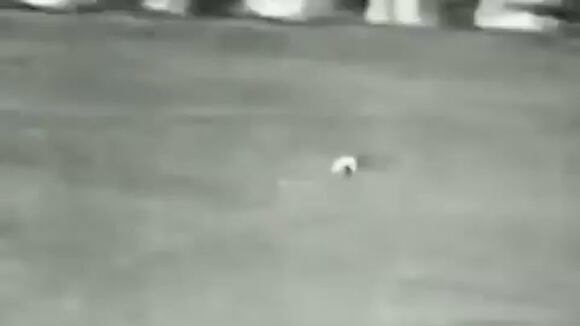 Videoplayback - 2023-04-05t213811.327