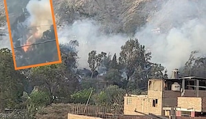 Incendios forestales llegaron a Lima: Siniestro arrasa árboles en Huampaní