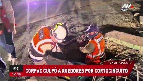“Fueron los ratones”: Corpac culpó a roedores por el cortocircuito que hubo en el aeropuerto