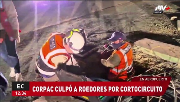 Corpac culpó a ratones por apagón en el aeropuerto. VIDEO: ATV +