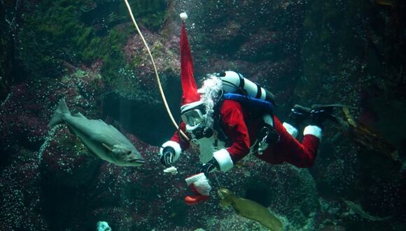 Papa Noel acuático en Alemania